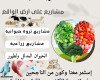 العمل في التجارة المتعددة